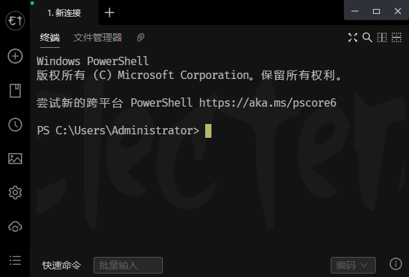 Electerm v5.3.26 中文绿色版界面