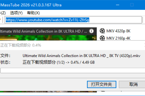 MassTube(YouTube视频下载工具) Ultra v22.1.5.223 多语便携版