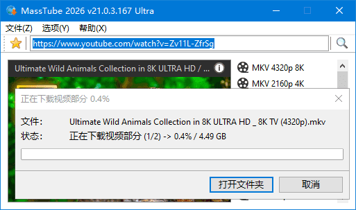 MassTube Ultra v22.1.5.223 视频下载工具界面