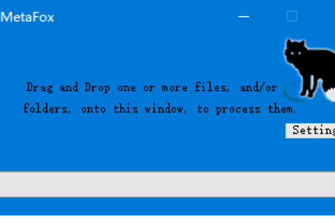 MetaFox(轻量级MKV视频转换软件) v2.6.4 便携版