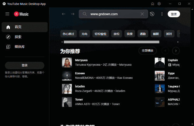 YouTube Music Desktop 音乐播放器软件截图