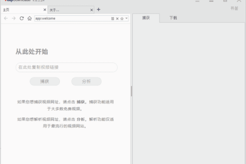 VCap Downloader v0.1.49.7302 多语便携版