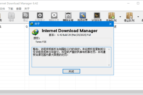 IDM下载器(Internet Download Manager) v6.43.11 中文绿色版