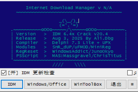 IDM 6.4x by Ali.Dbg(IDM激活工具最新版) v20.7 汉化绿色版