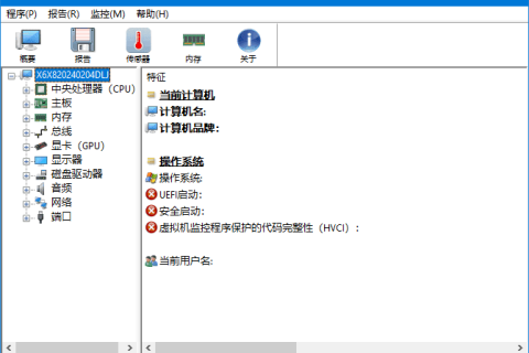 HWiNFO(专业系统信息检测工具) v8.54.6090 中文绿色版