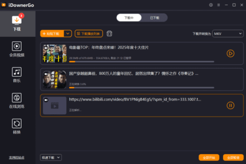 iDownerGo(流媒体网络视频下载工具) v11.3.0 多语便携版