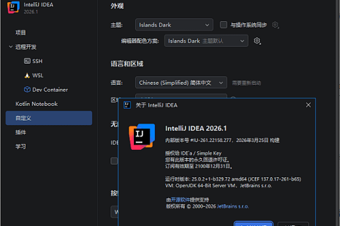 Jetbrains IntelliJ IDEA(Java集成开发环境) 2026.2.3 中文直装版