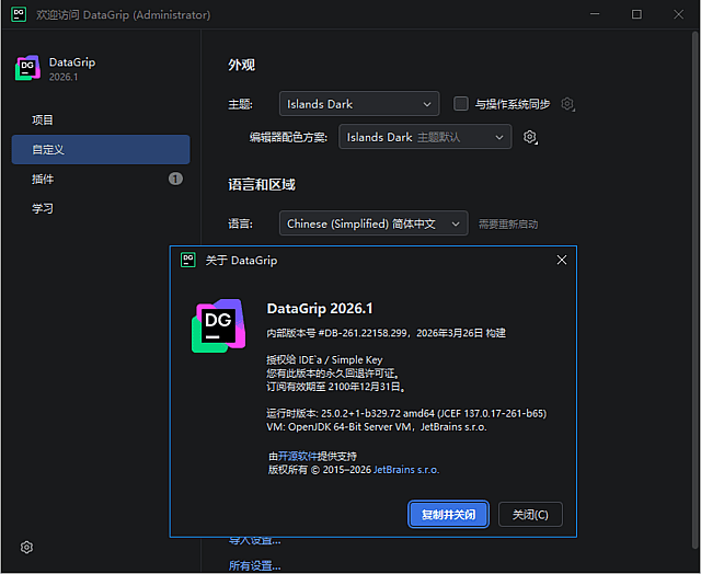 JetBrains DataGrip 集成开发环境软件截图