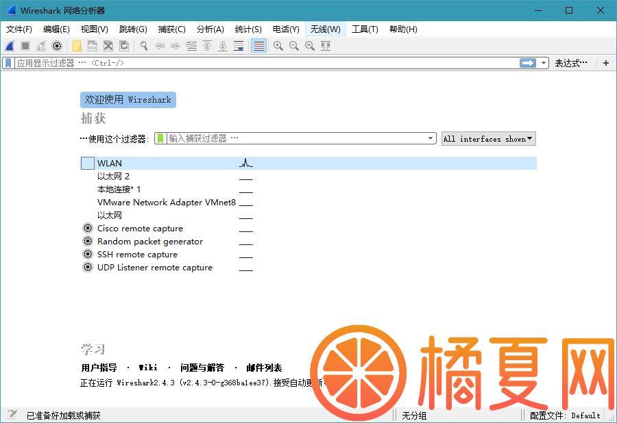 Wireshark中文版(网络抓包工具)_4.0.3便携版,中文,便携版,接口,便携,第1张